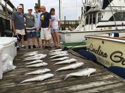 OBX Bait &amp; Tackle Corolla Outer Banks photo