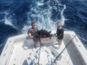 OBX Bait & Tackle Corolla Outer Banks, Corolla Fish Report