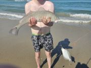 OBX Bait & Tackle Corolla Outer Banks, Corolla Fish Report