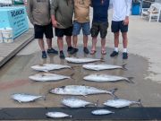 OBX Bait & Tackle Corolla Outer Banks, Corolla Fish Report