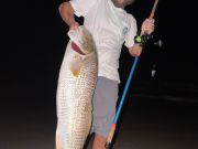 OBX Bait & Tackle Corolla Outer Banks, Corolla Fish Report
