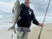 OBX Bait & Tackle Corolla Outer Banks, Corolla Fish Report