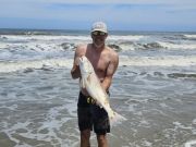OBX Bait & Tackle Corolla Outer Banks, Corolla Fish Report