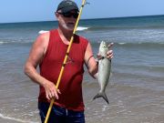 OBX Bait & Tackle Corolla Outer Banks, Corolla Fish Report
