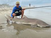 OBX Bait & Tackle Corolla Outer Banks, Corolla Fish Report