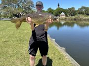 OBX Bait & Tackle Corolla Outer Banks, Corolla Fish Report