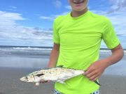 OBX Bait & Tackle Corolla Outer Banks, Corolla Fish Report
