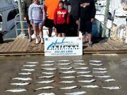 OBX Bait & Tackle Corolla Outer Banks, Corolla Fish Report