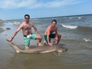OBX Bait & Tackle Corolla Outer Banks, Corolla Fish Report