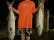 OBX Bait & Tackle Corolla Outer Banks, Corolla Fish Report