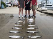OBX Bait & Tackle Corolla Outer Banks, Spring Sale