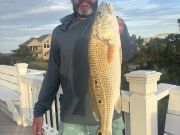 OBX Bait & Tackle Corolla Outer Banks, Corolla Fish Report