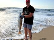 OBX Bait & Tackle Corolla Outer Banks, Corolla Fish Report
