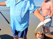 OBX Bait & Tackle Corolla Outer Banks, Corolla Fish Report