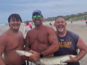 OBX Bait & Tackle Corolla Outer Banks, Corolla Fish Report