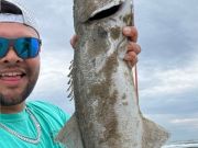 OBX Bait & Tackle Corolla Outer Banks, Corolla Fish Report