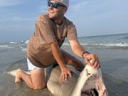OBX Bait & Tackle Corolla Outer Banks, Corolla Fish Report