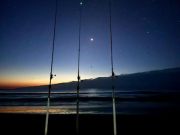 OBX Bait & Tackle Corolla Outer Banks, Corolla Fish Report