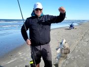 OBX Bait & Tackle Corolla Outer Banks, Corolla Fish Report