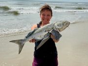OBX Bait & Tackle Corolla Outer Banks, Corolla Fish Report