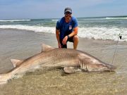 OBX Bait & Tackle Corolla Outer Banks, Corolla Fish Report