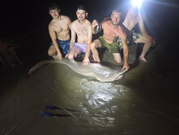 OBX Bait & Tackle Corolla Outer Banks, Corolla Fish Report