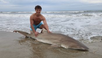 OBX Bait & Tackle Corolla Outer Banks, Corolla Fish Report
