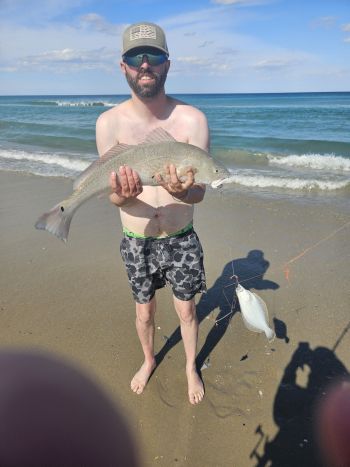 OBX Bait & Tackle Corolla Outer Banks, Corolla Fish Report