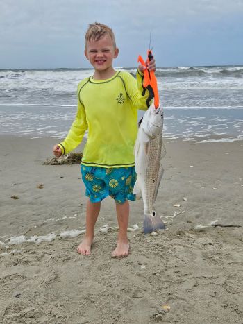 OBX Bait & Tackle Corolla Outer Banks, Corolla Fish Report