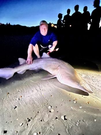 OBX Bait & Tackle Corolla Outer Banks, Corolla Fish Report