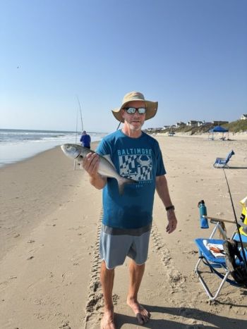 OBX Bait & Tackle Corolla Outer Banks, Corolla fish report