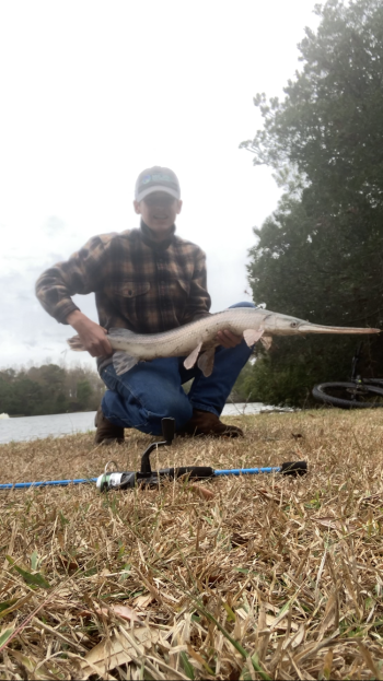 OBX Bait & Tackle Corolla Outer Banks, Corolla Fish Report
