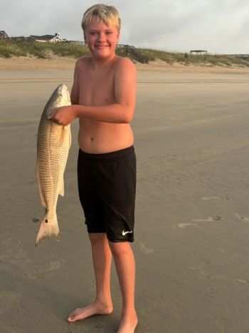 OBX Bait & Tackle Corolla Outer Banks, Corolla Fish Report