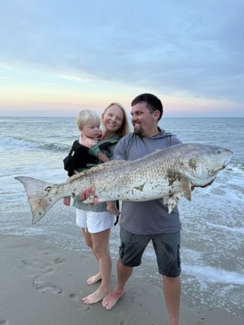 OBX Bait & Tackle Corolla Outer Banks, Corolla Fish Report