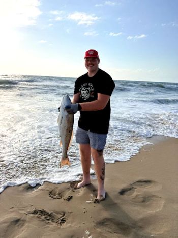OBX Bait & Tackle Corolla Outer Banks, Corolla Fish Report