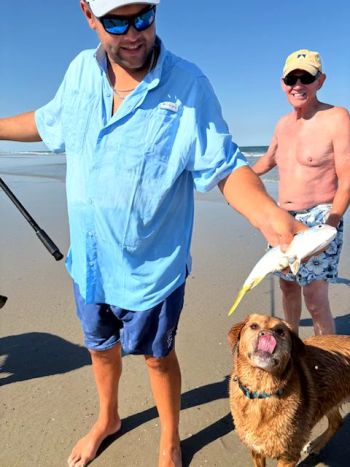 OBX Bait & Tackle Corolla Outer Banks, Corolla Fish Report