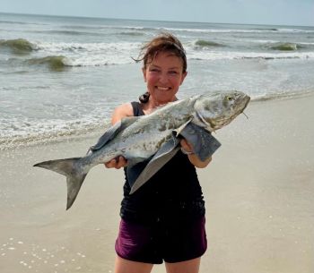 OBX Bait & Tackle Corolla Outer Banks, Corolla Fish Report