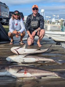 OBX Bait &amp; Tackle Corolla Outer Banks photo