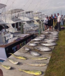 OBX Bait &amp; Tackle Corolla Outer Banks photo