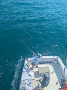 OBX Bait &amp; Tackle Corolla Outer Banks photo
