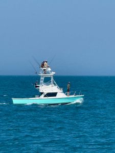 OBX Bait &amp; Tackle Corolla Outer Banks photo