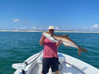 OBX Bait &amp; Tackle Corolla Outer Banks photo