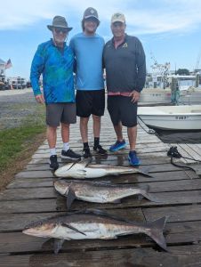 OBX Bait &amp; Tackle Corolla Outer Banks photo