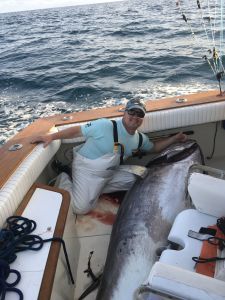 OBX Bait &amp; Tackle Corolla Outer Banks photo