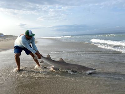 OBX Bait &amp; Tackle Corolla Outer Banks photo