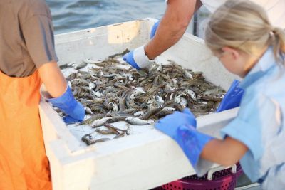 OBX Bait &amp; Tackle Corolla Outer Banks photo