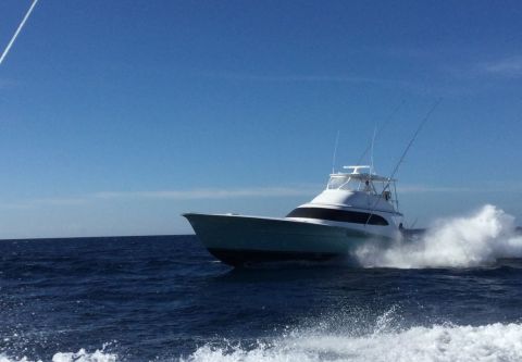 OBX Bait & Tackle Corolla Outer Banks, Carolina Girl Sportfishing